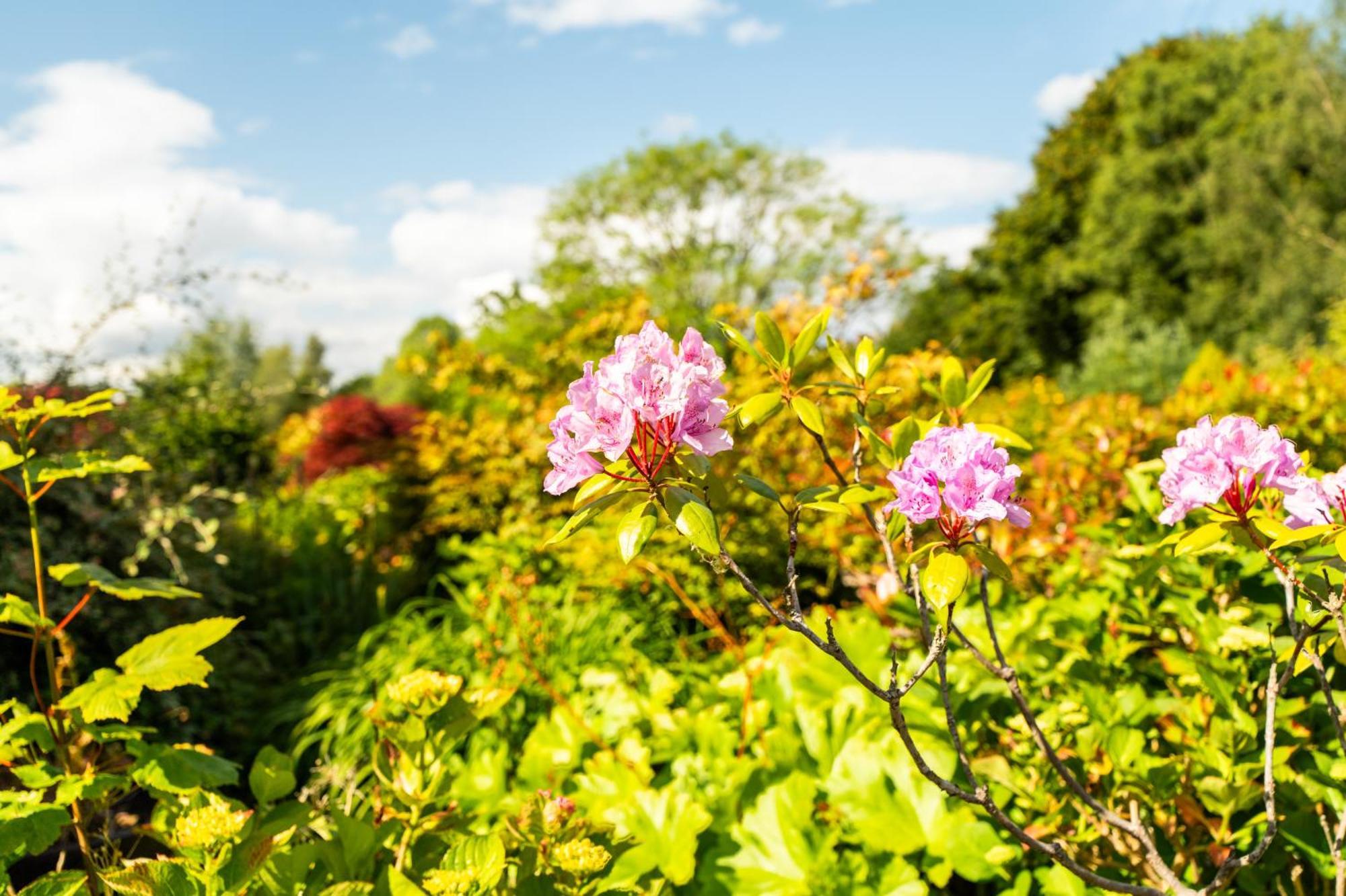 The House @ Sitwell Arms Hotel Renishaw ภายนอก รูปภาพ